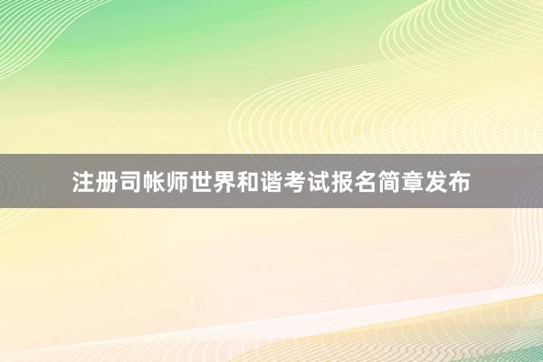 注册司帐师世界和谐考试报名简章发布